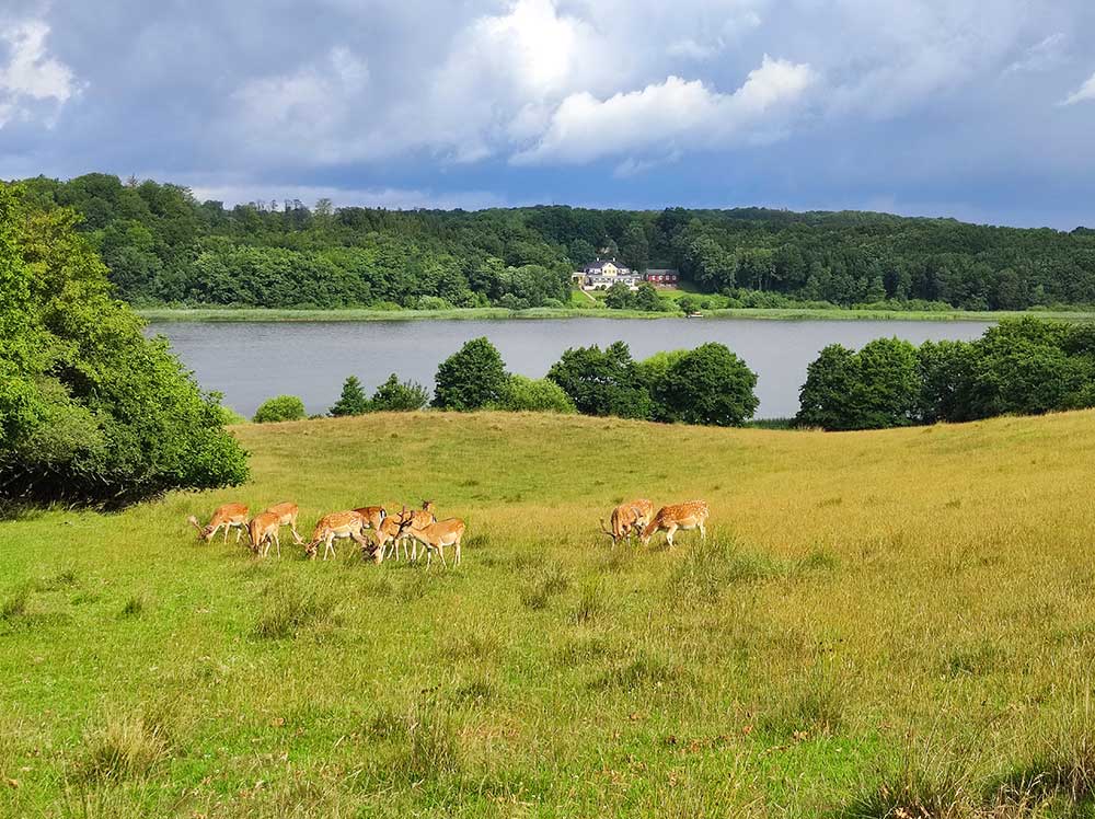 Road trip au Danemark