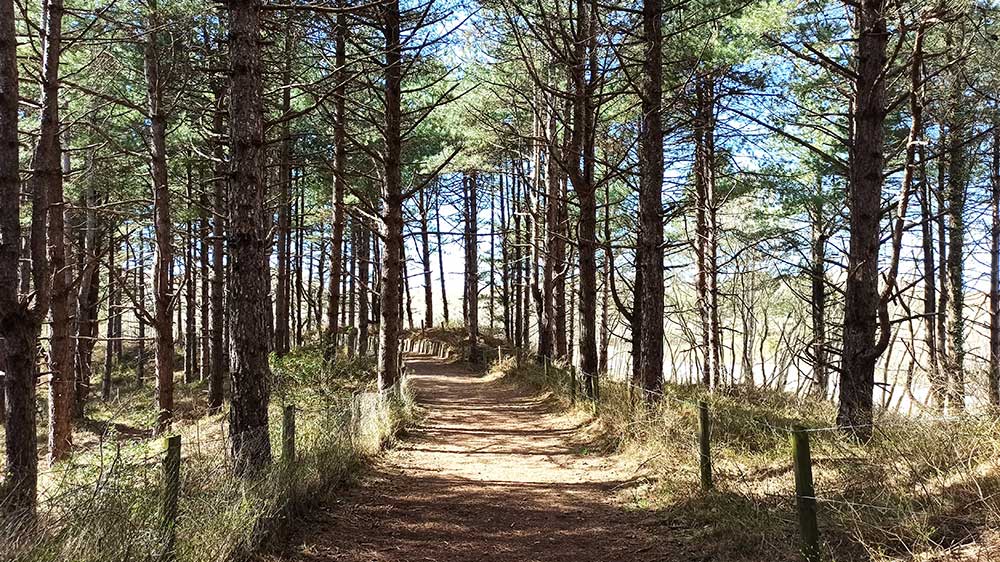 Fort-Mahon - Côte d'Opale