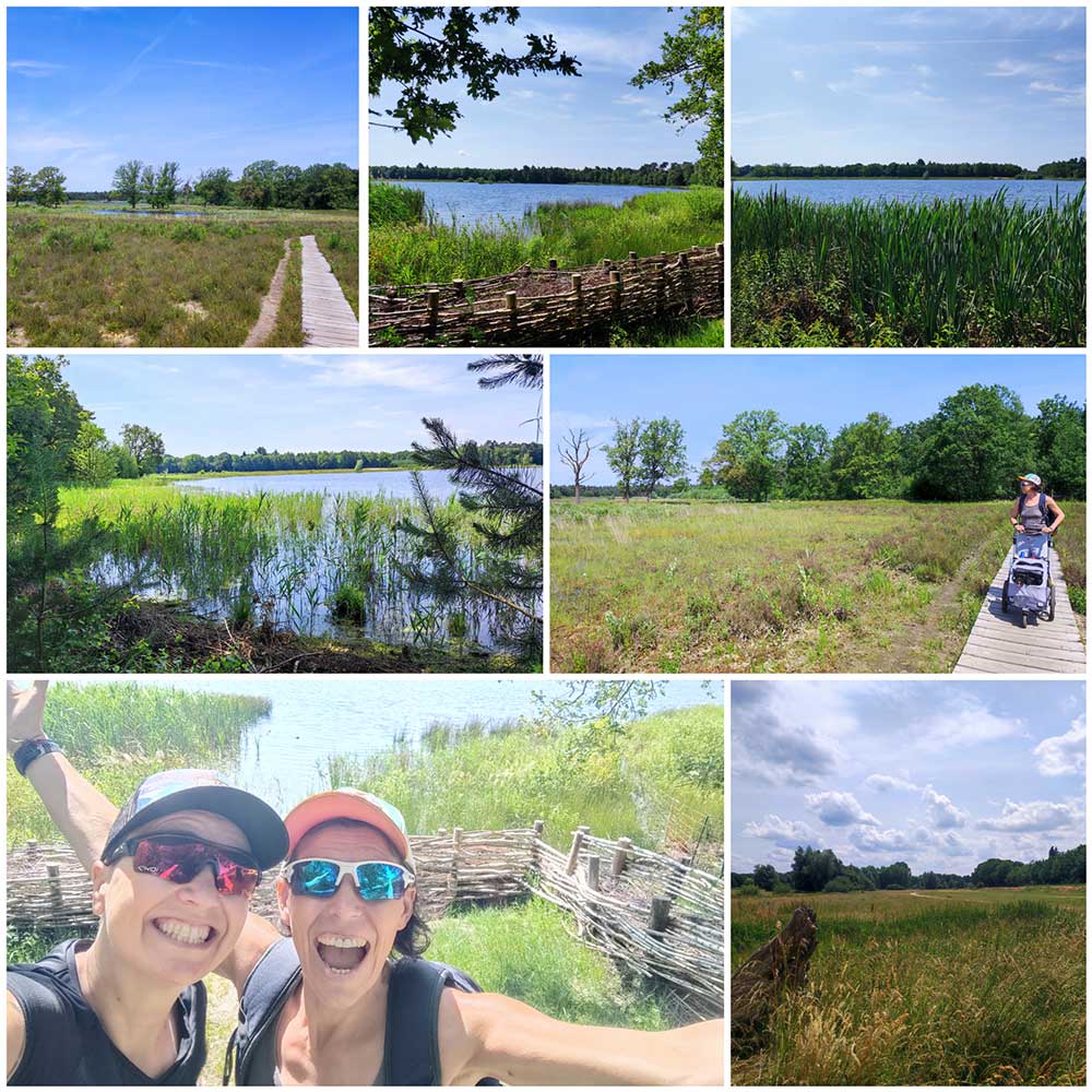 Mastbos aux Pays bas lors de road trip camping car