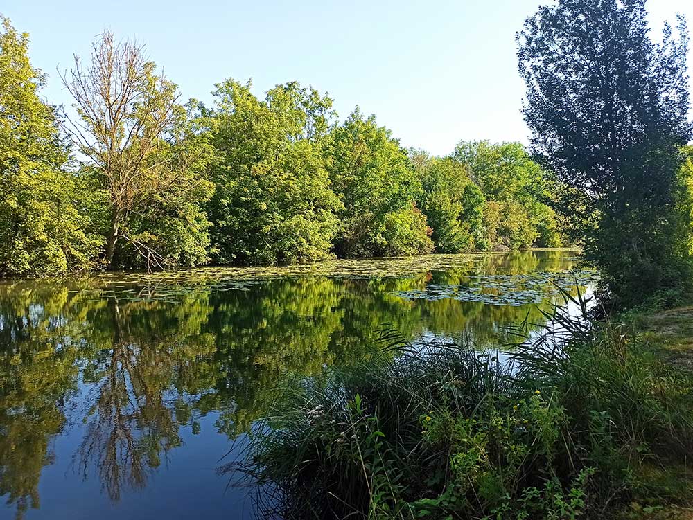 Romilly-sur-Seine-(13)