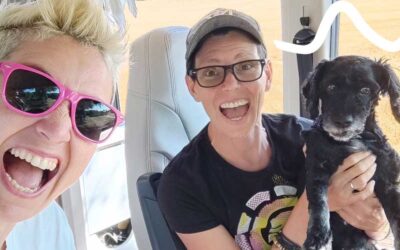 Présentation du Monde à Portée de Roues