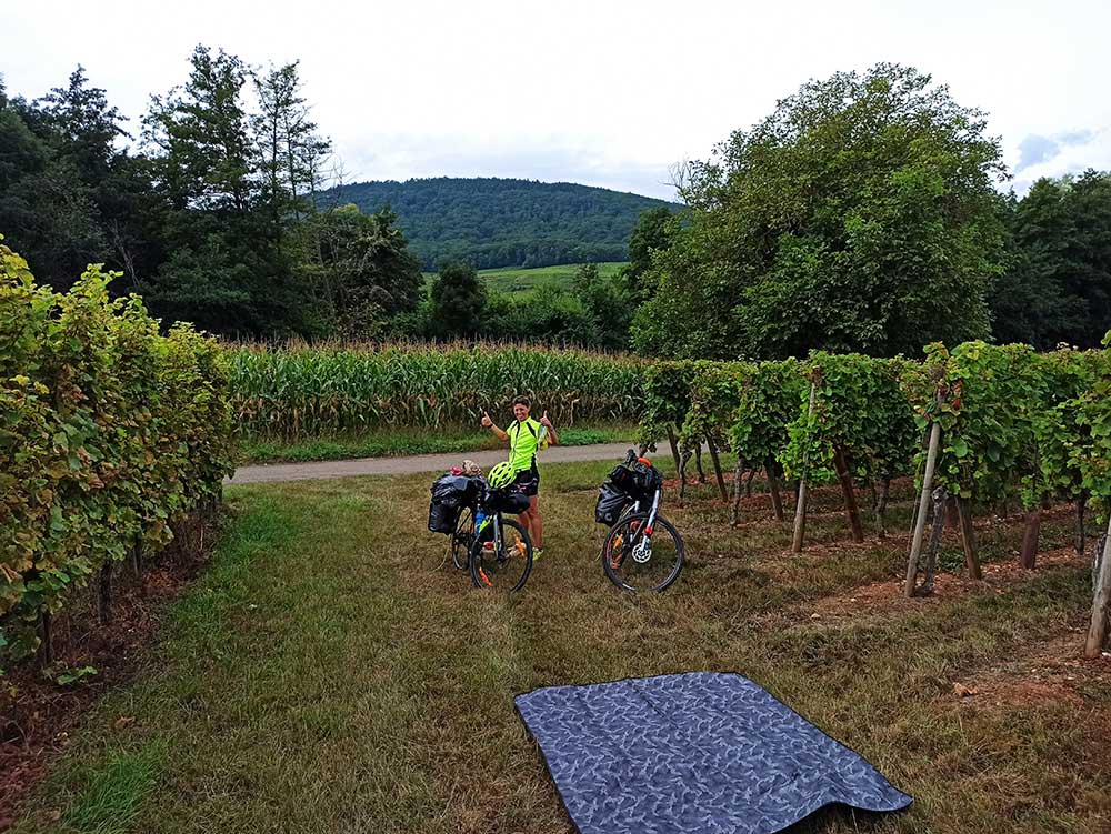 sur-la-route-d'Eguisheim-(7)