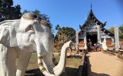 Chiang Maï – Thaïlande (février 2025) – Partie 2