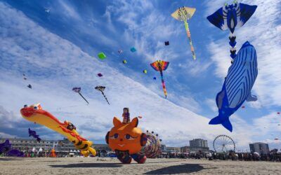 38ème Rencontres Internationales des Cerfs-Volants à Berck Plage