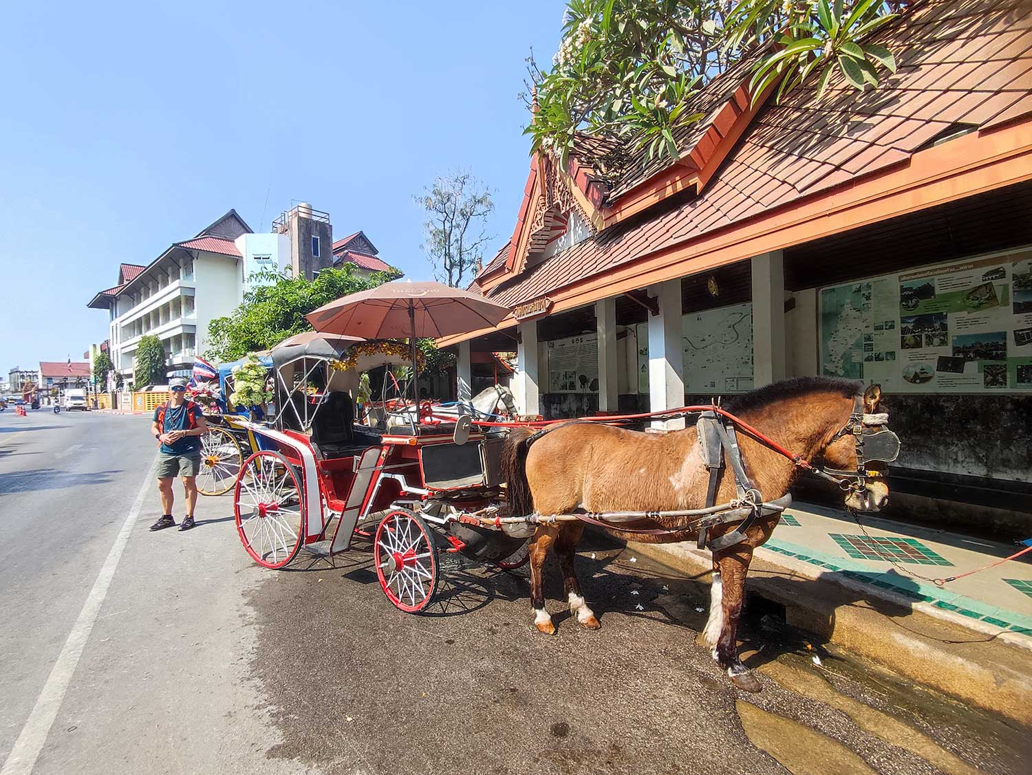 Calèches à Lampang