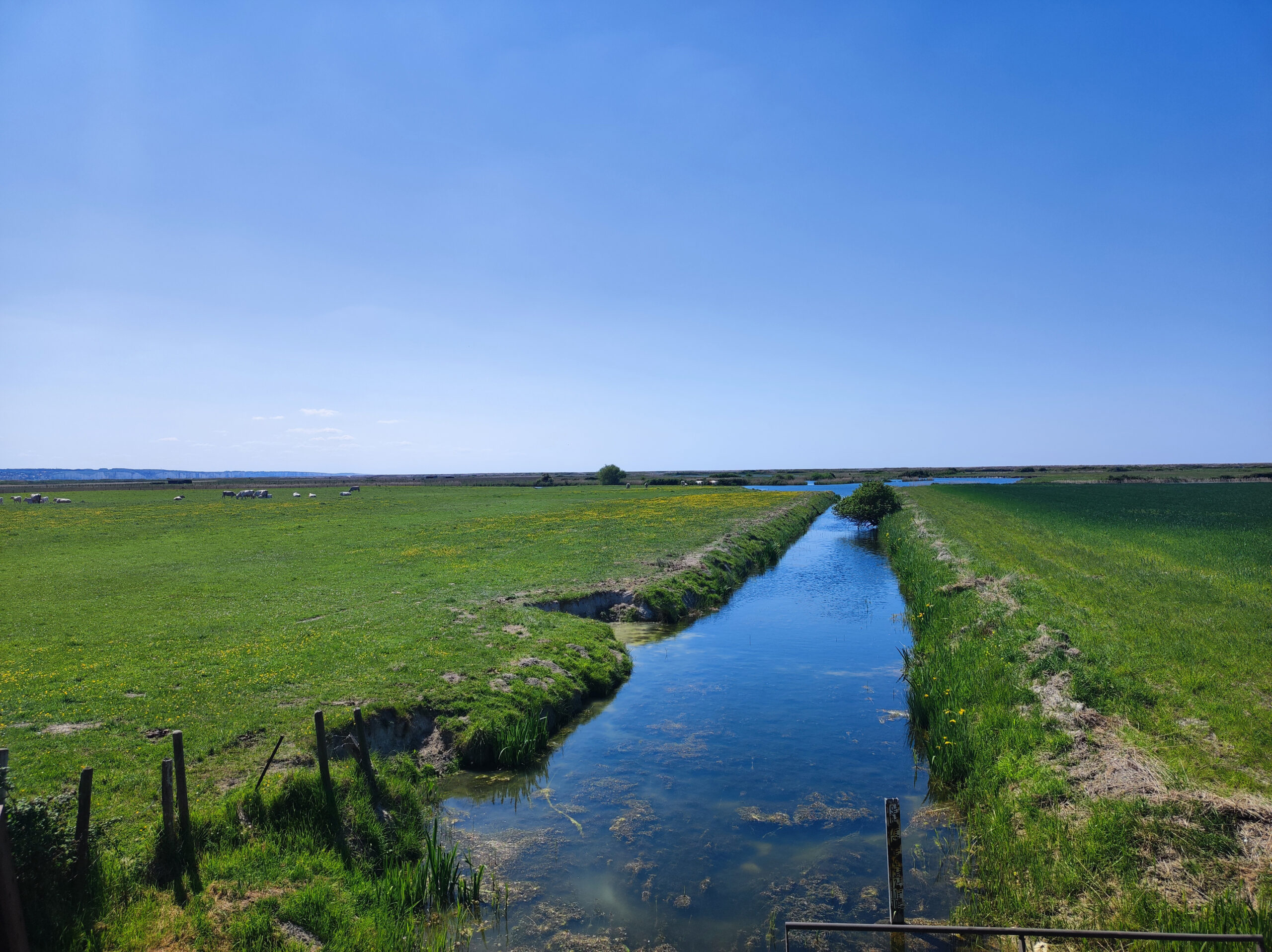 Marais de Cayeux sur Mer