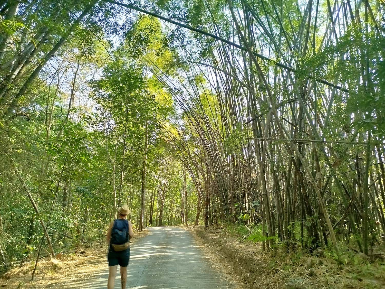 Doi Incee - Chiang Raï