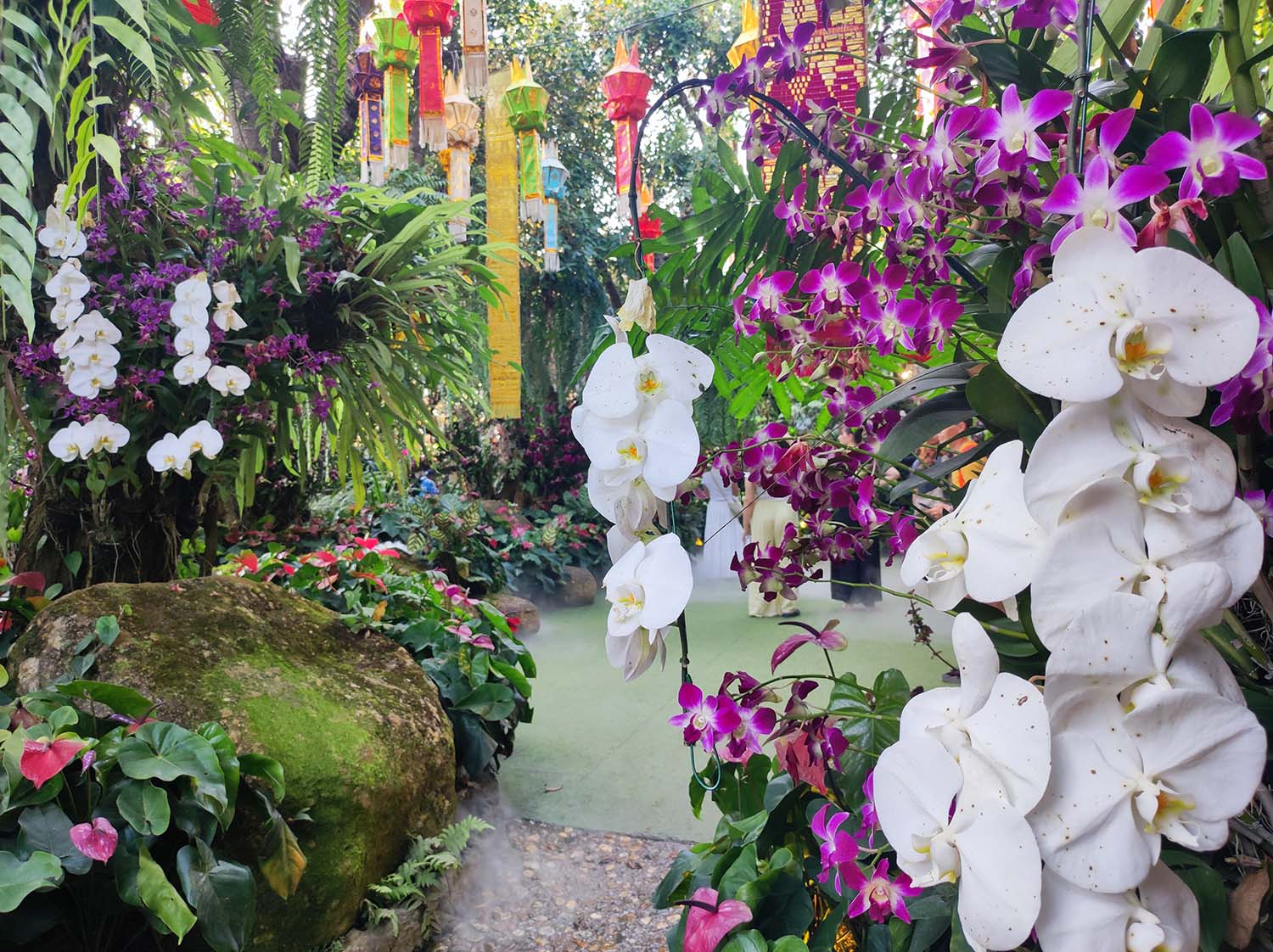 Lalitta Café - Chiang Raï