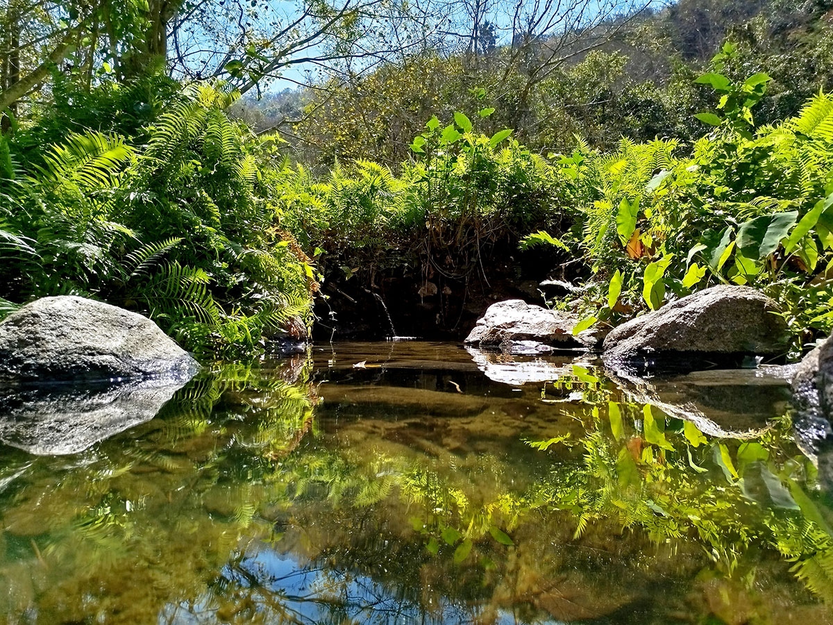 sources chaudes Tha Pai Hot Spring - Paï