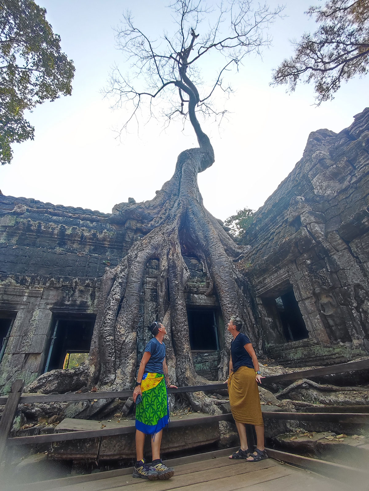Ta Prohm Temple, Cambodge Ta Prohm Temple, Cambodge