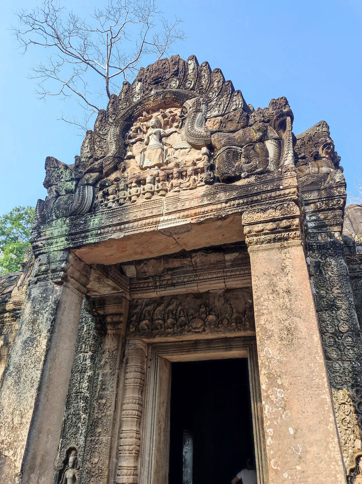 Ta Prohm Temple, Cambodge Ta Prohm Temple, Cambodge