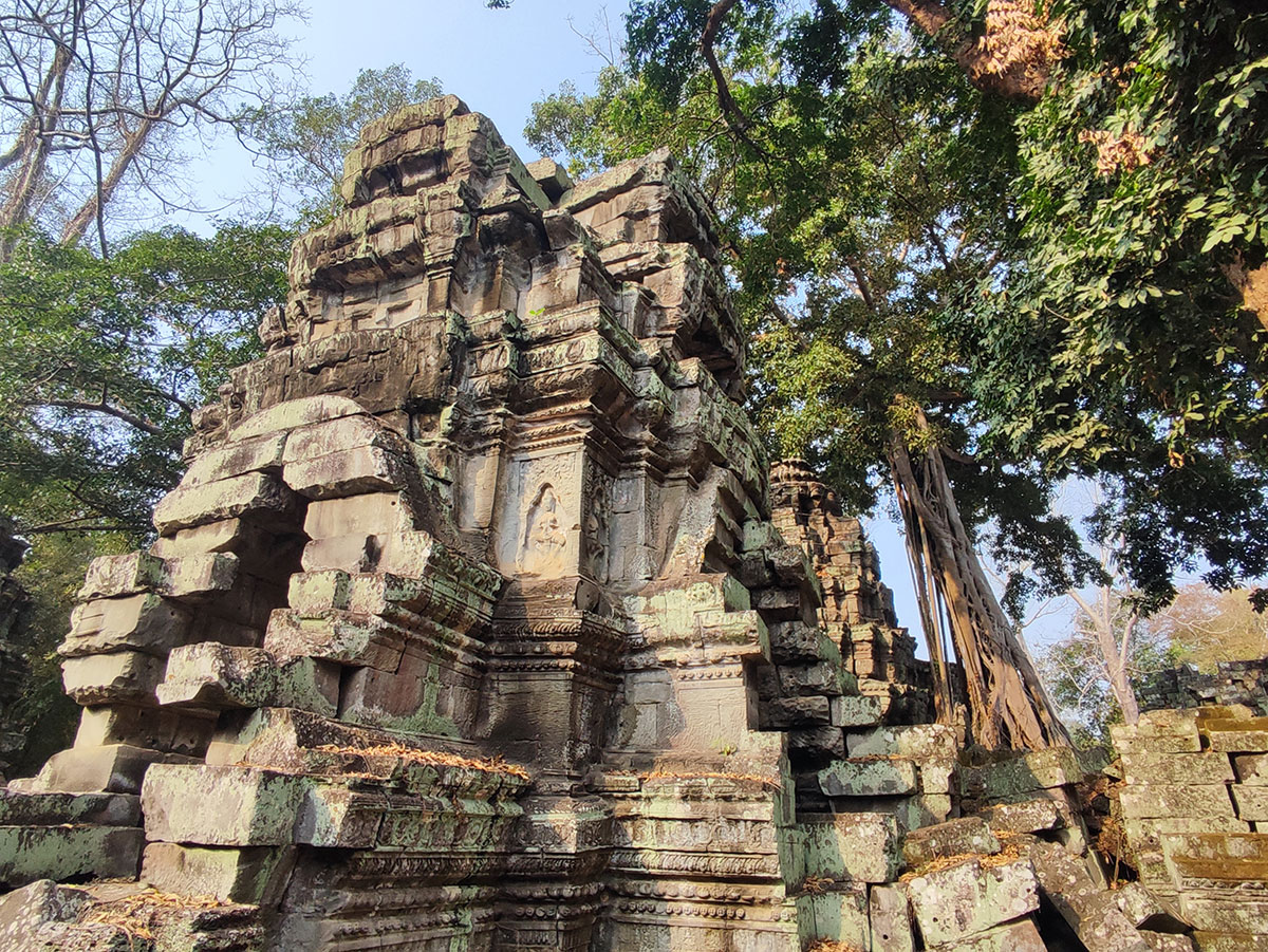 Ta Prohm Temple, Cambodge Ta Prohm Temple, Cambodge