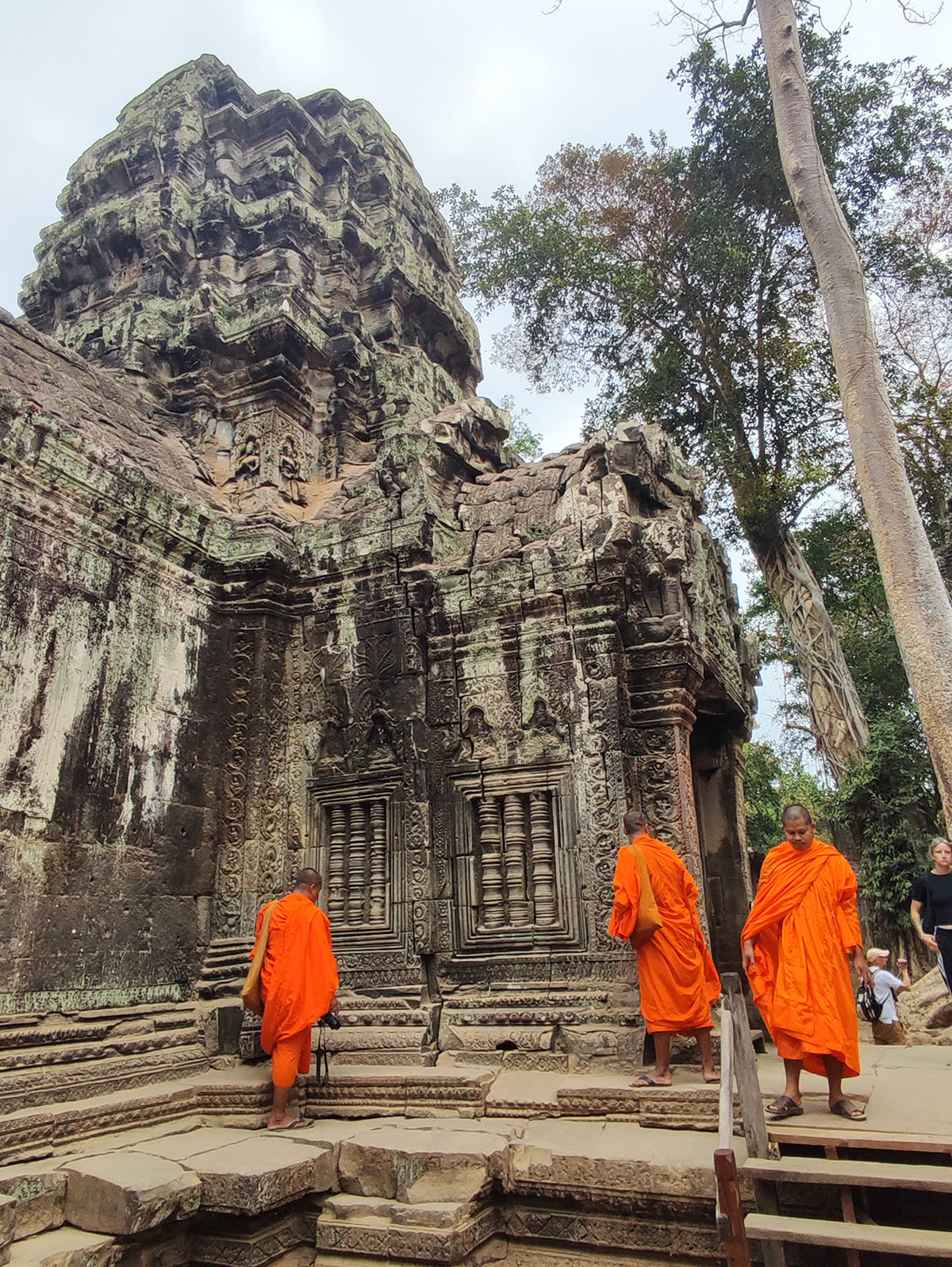 Ta Prohm Temple, Cambodge Ta Prohm Temple, Cambodge