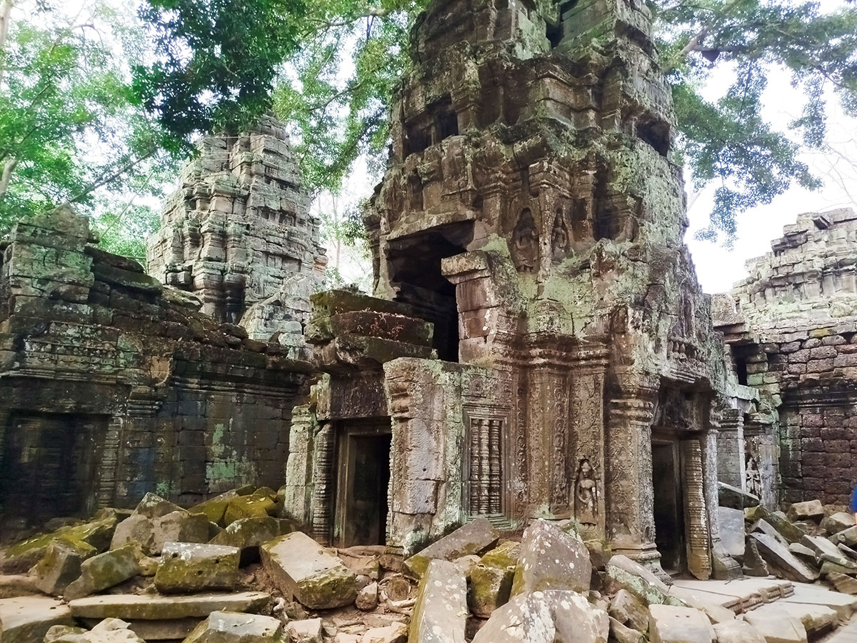 Ta Prohm Temple, Cambodge Ta Prohm Temple, Cambodge