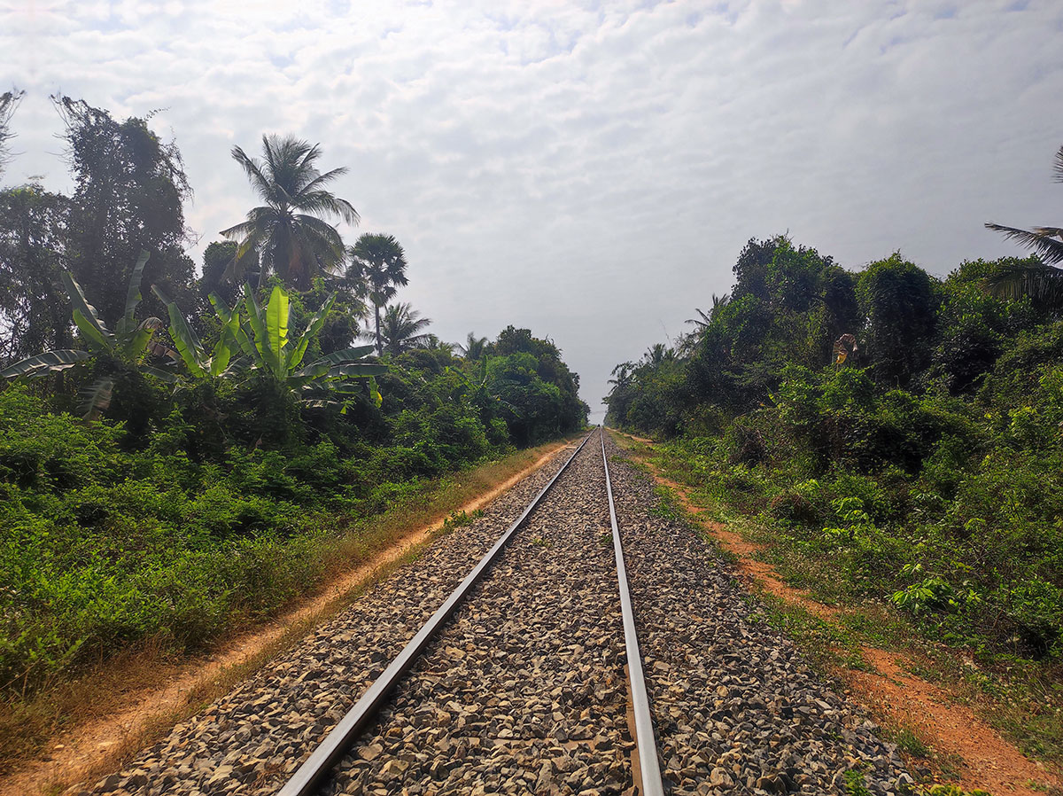 Bambou Train à Battambang
