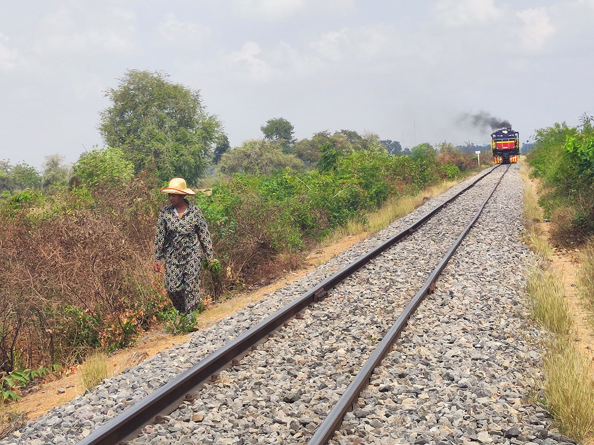Bambou Train à Battambang