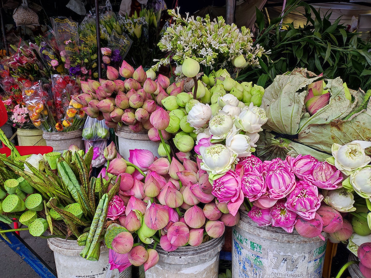 Angkor Wat, Cambodge