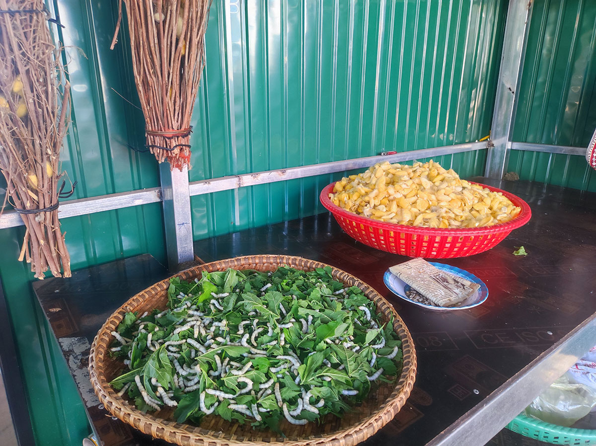 Ile de la soie, Koh Dach, Phnom Penh